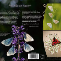 Pages du livre Papillons tout naturellement