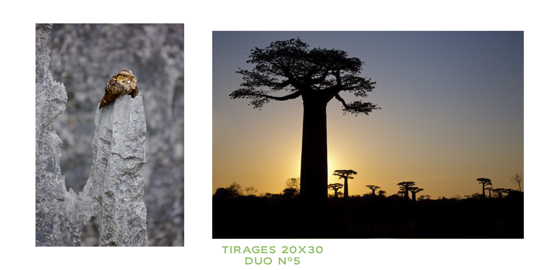 Photos tirées du livre Madagascar, un paradis aux abois