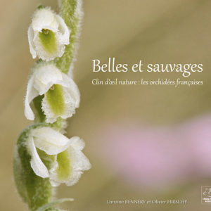 Couverture Belle et sauvages, les orchidées françaises