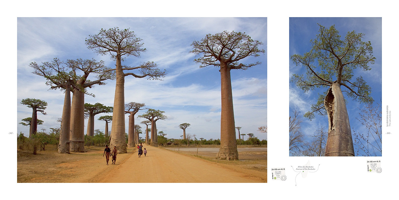 Pages du livre Madagascar un paradis aux abois