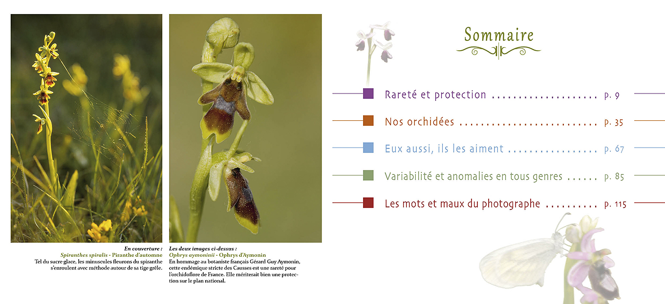 Pages du livre Belles et sauvages, les orchidées françaises
